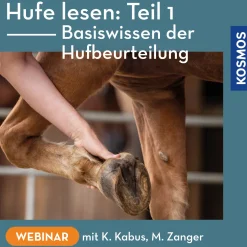 Hufe lesen Teil 1 – Basiswissen der Hufbeurteilung