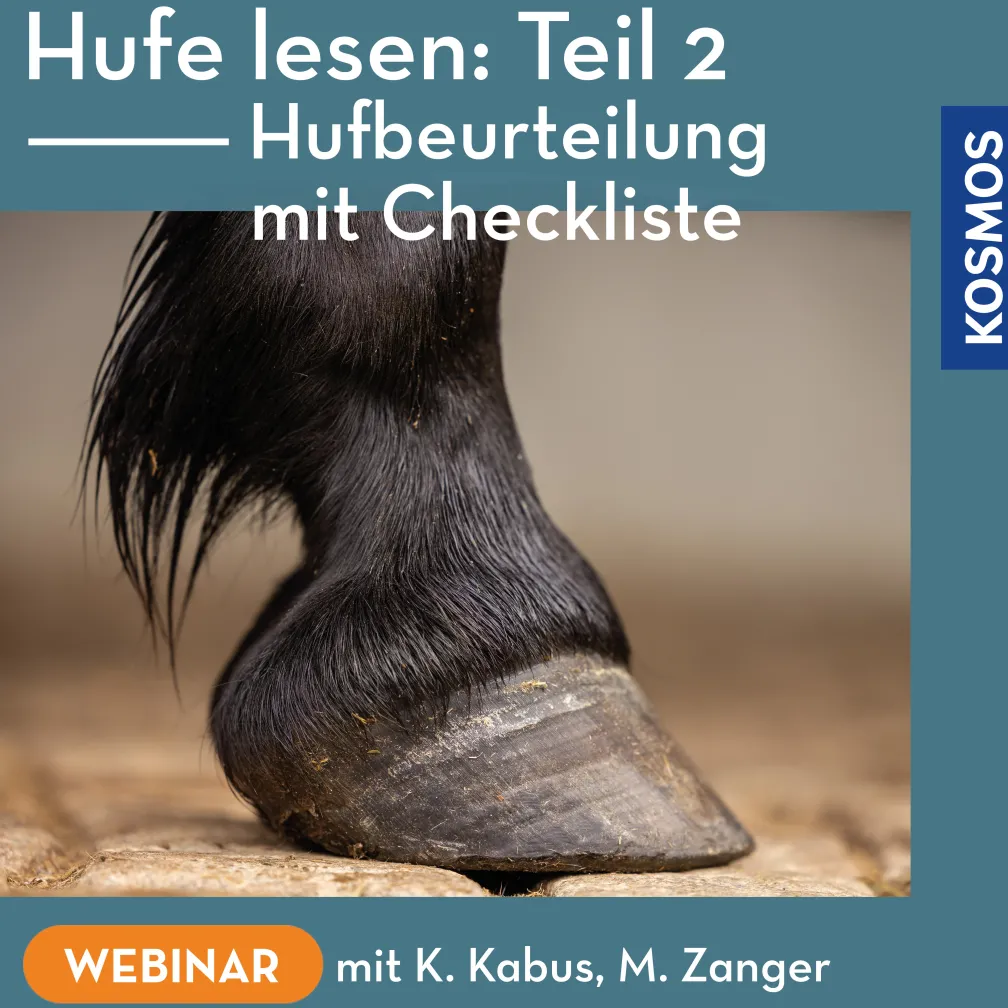 Hufe lesen: Teil 2 – Hufbeurteilung mit Checkliste