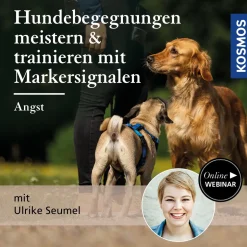 Hundebegegnungen meistern & trainieren mit Markersignalen: Angst