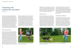 Hunde beschäftigen mit Martin Rütter