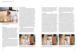 Hunde beschäftigen mit Martin Rütter