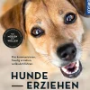 Hunde erziehen – mit der 5er-Basis