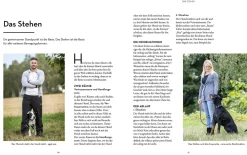 Hunde erziehen – mit der 5er-Basis