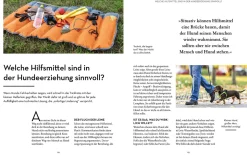 Hunde erziehen – mit der 5er-Basis