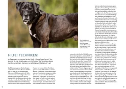 Hunde fühlen und anleiten