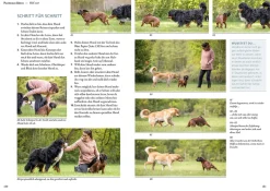 Hunde fühlen und anleiten