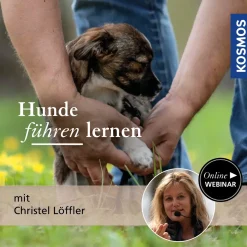 Hunde führen lernen