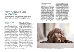 Hundeführerschein und Sachkundenachweis
