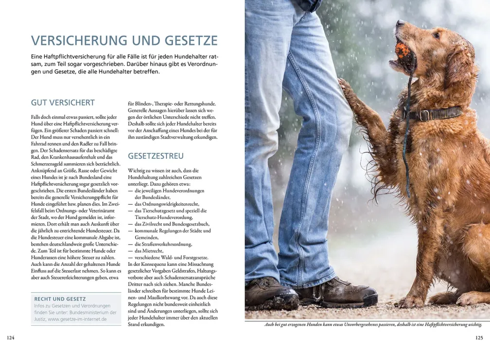 Hundeführerschein und Sachkundenachweis