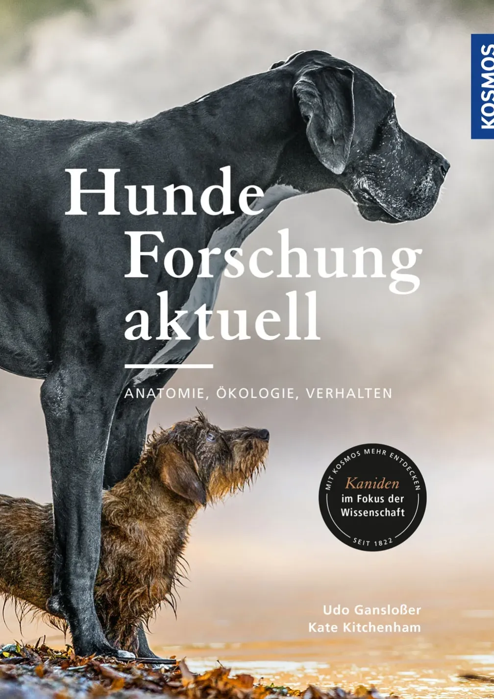 Hunde-Forschung aktuell