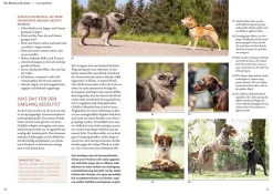 Hunde lesen lernen