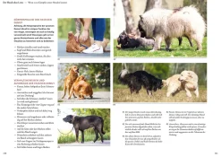 Hunde lesen lernen