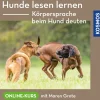 Hunde lesen lernen – Körpersprache beim Hund deuten