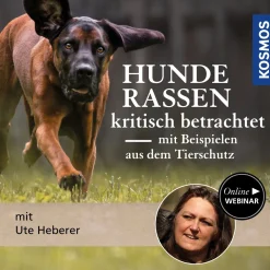 Hunderassen kritisch betrachtet – mit Beispielen aus dem Tierschutz