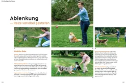 Hundetraining mit Martin Rütter