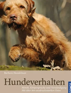 Hundeverhalten