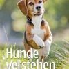 Hunde verstehen