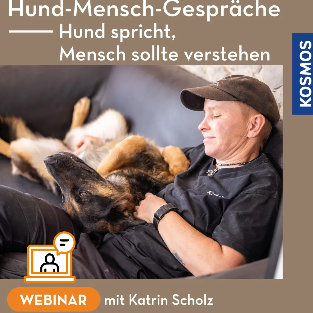 Hund-Mensch-Gespräche – Hund spricht Mensch sollte verstehen