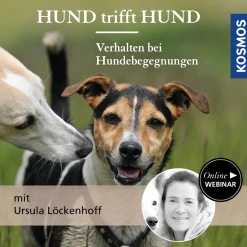 Hund trifft Hund – Verhalten bei Hundebegegnungen
