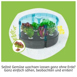 Hydro-Garten