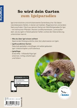 Igel im Garten