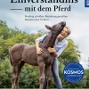 Im Einverständnis mit dem Pferd
