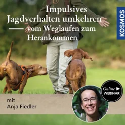 Impulsives Jagdverhalten umkehren: vom Weglaufen zum Herankommen