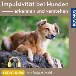 Impulsivität bei Hunden – erkennen und verstehen