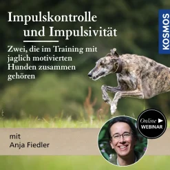 Impulskontrolle und Impulsivität im Training mit jagdlich motivierten Hunden