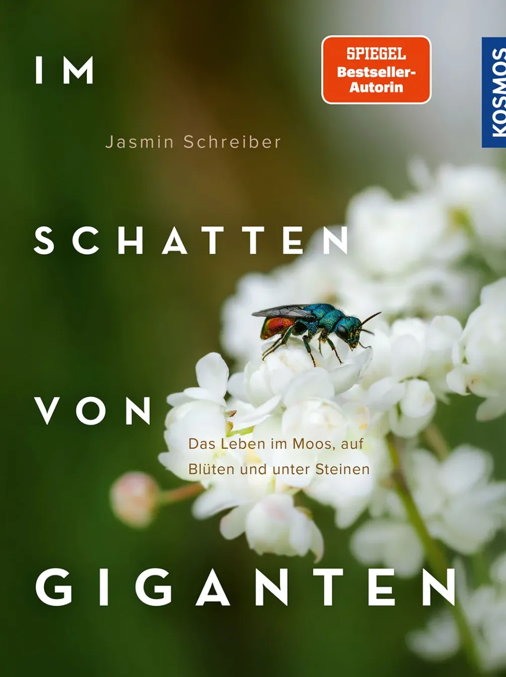 Im Schatten von Giganten