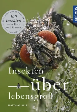 Insekten überlebensgroß