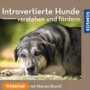 Introvertierte Hunde verstehen und fördern