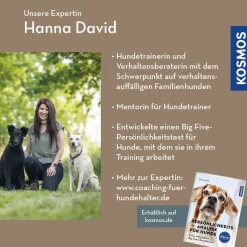 Introvertierte Hunde verstehen und fördern