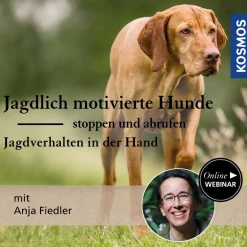 Jagdlich motivierte Hunde stoppen und abrufen: Jagdverhalten in der Hand