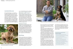 Jagdverhalten bei Hunden