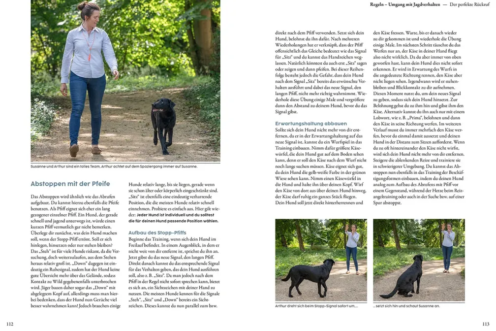 Jagdverhalten bei Hunden