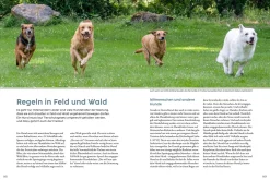 Jagdverhalten bei Hunden