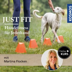 Just Fit – Hundefitness für Jederhund