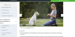 Just Fit – Hundefitness für Jederhund