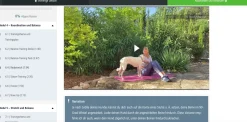 Just Fit – Hundefitness für Jederhund