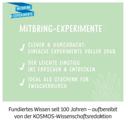 Kakteen-Wüste