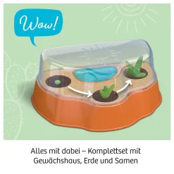 Kakteen-Wüste
