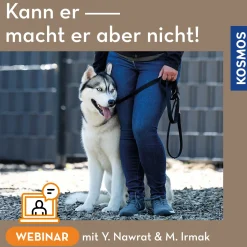 Kann er – macht er aber nicht!