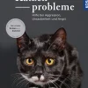 Katzenprobleme