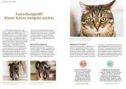 Katzensprache