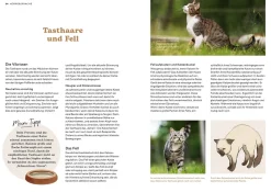 Katzensprache