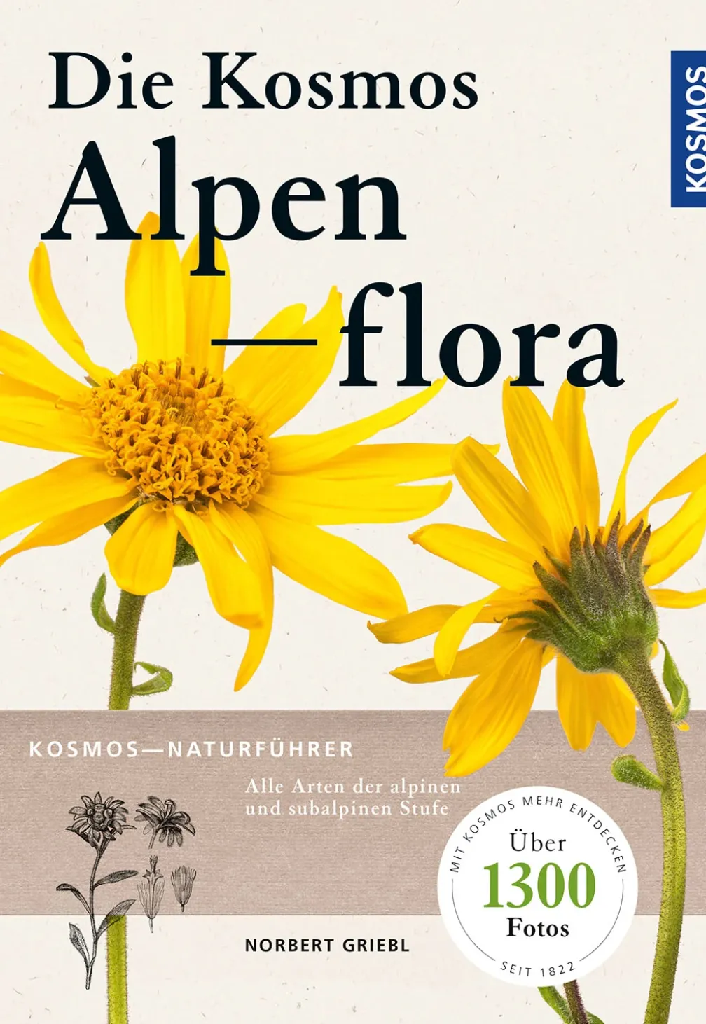 Kosmos Alpenflora