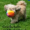 KOSMOS eBooklet: Gesellschafts- und Begleithunde - Ursprung, Wesen, Haltung