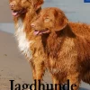 KOSMOS eBooklet: Jagdhunde - Ursprung, Wesen, Haltung