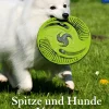 KOSMOS eBooklet: Spitze und Hunde vom Urtyp - Ursprung, Wesen, Haltung